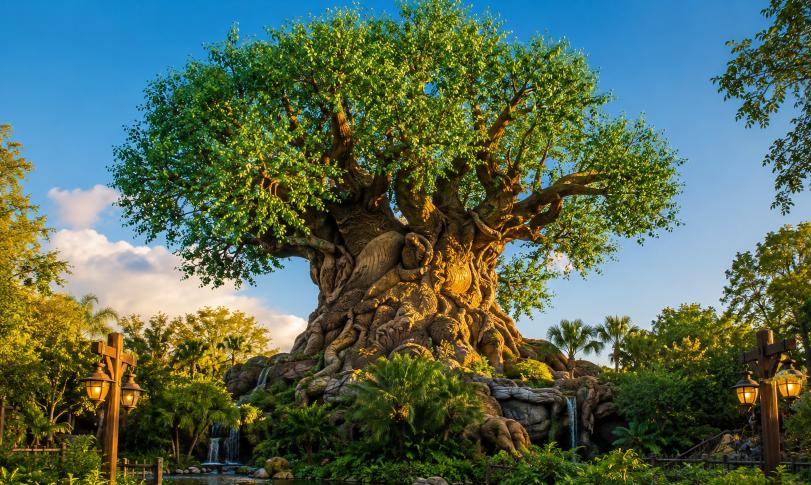 Disney’s Animal Kingdom